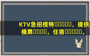 KTV急招模特，提供機票，住宿，日結